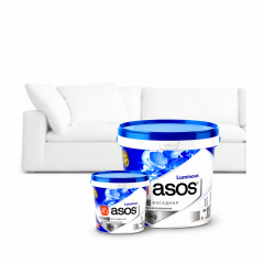 Paints and varnishes