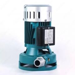 Submersible Pumps