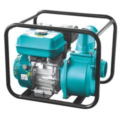 gasoline water pumps