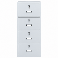 Metall ofis mebellari