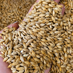 Grain products